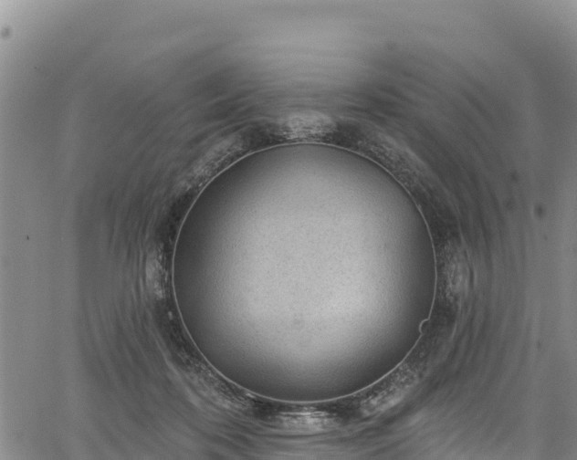 X0000067510316200604101302