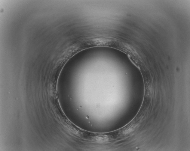 X0000067510317200604101302