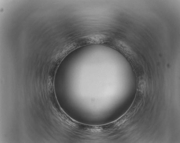 X0000067510318200604101302