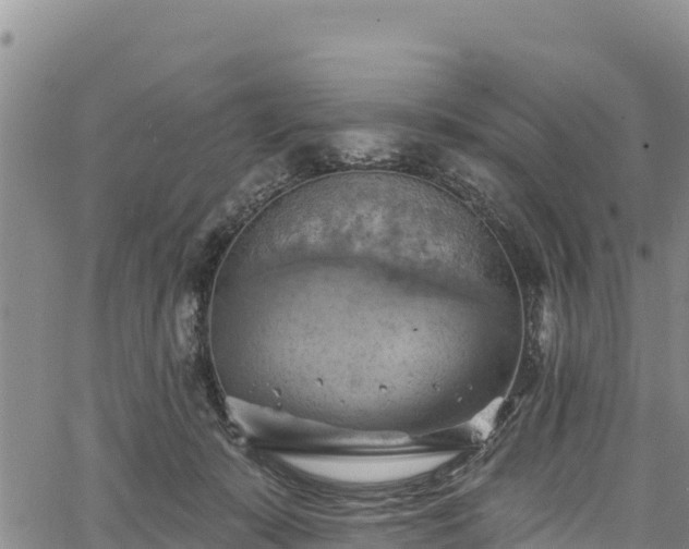 X0000067510319200604101302