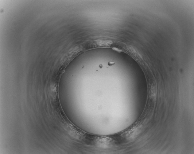 X0000067510321200604101302