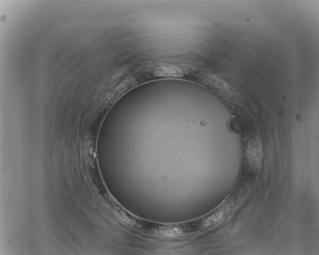 X0000067510322200604101302