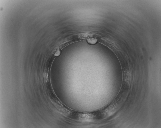 X0000067510324200604101302