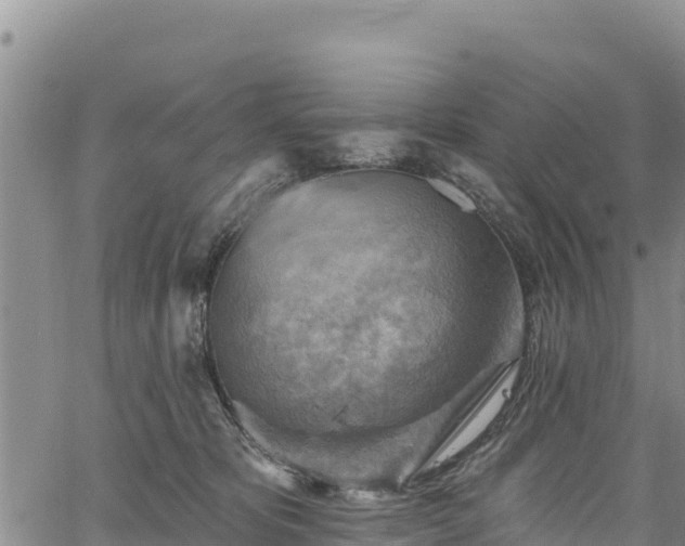 X0000067510325200604101302