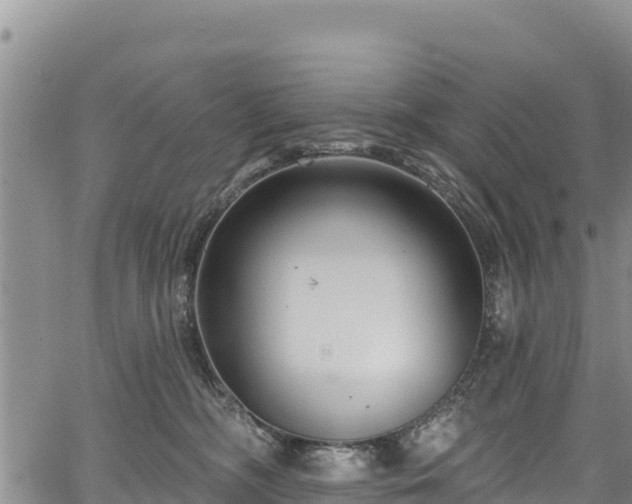 X0000067510326200604101302