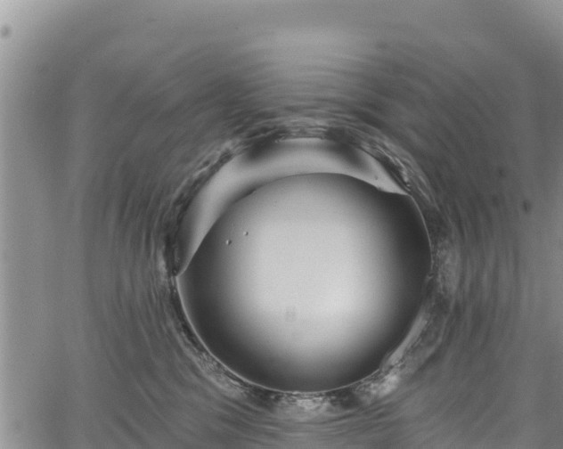 X0000067510329200604101302