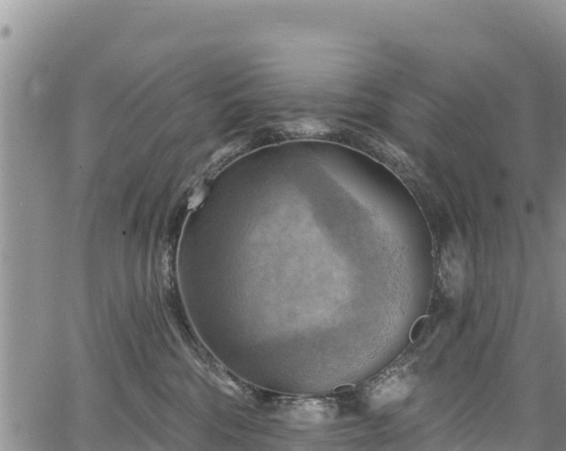 X0000067510330200604101302