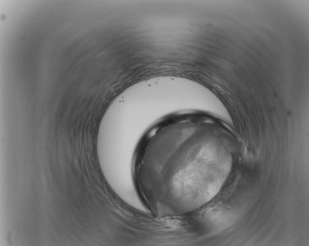 X0000067510331200604101302