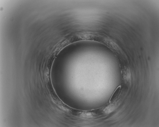 X0000067510332200604101302