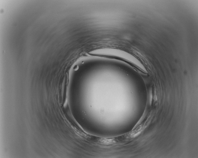 X0000067510333200604101302