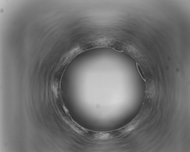 X0000067510334200604101302