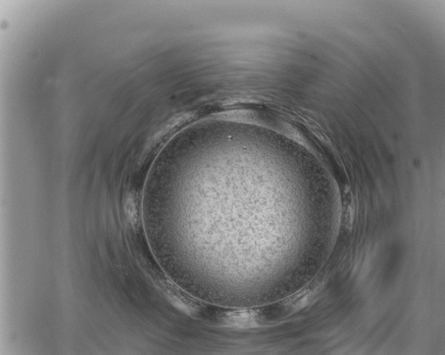 X0000067510335200604101302