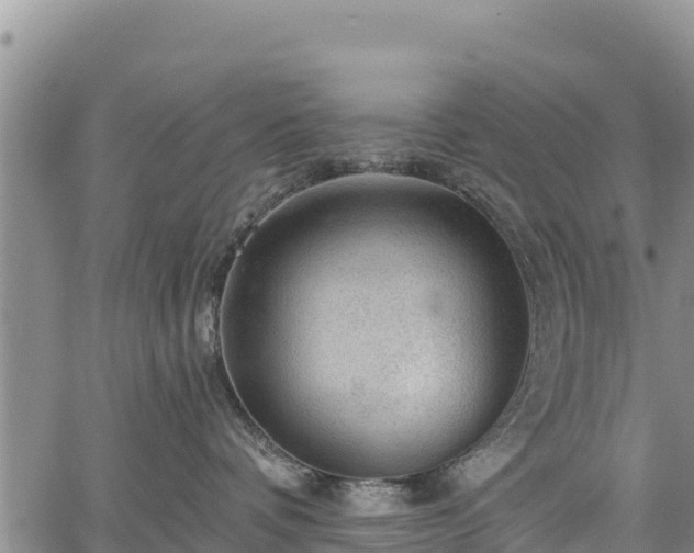 X0000067510336200604101302