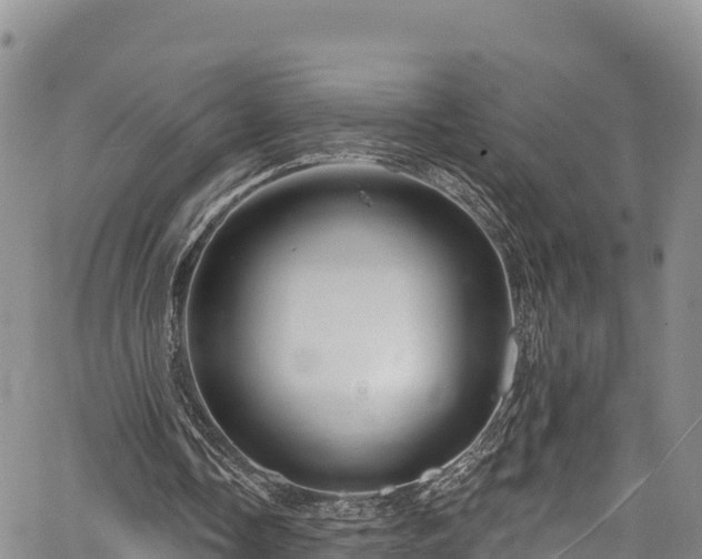 X0000067510338200604101301