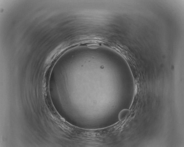 X0000067510339200604101301