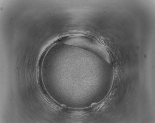 X0000067510342200604101301