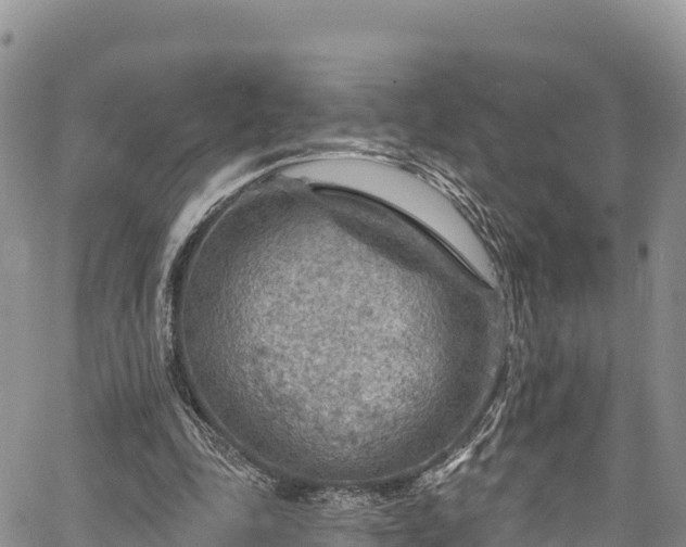 X0000067510343200604101301