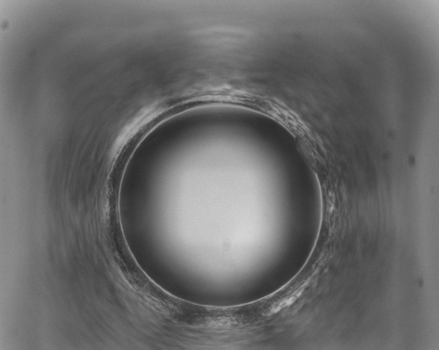 X0000067510344200604101301