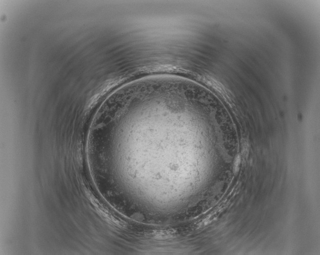 X0000067510345200604101301