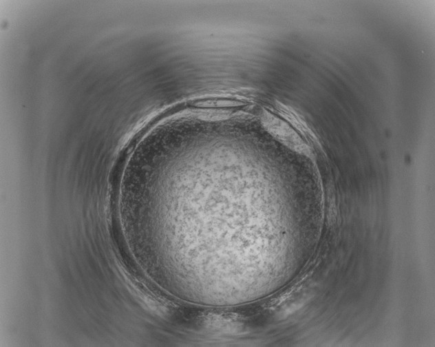 X0000067510346200604101301