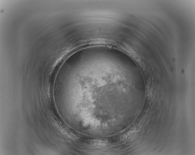 X0000067510347200604101301