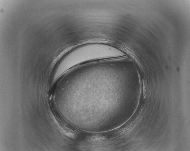 X0000067510348200604101301