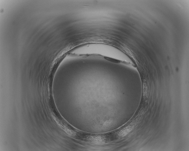 X0000067510349200604101301