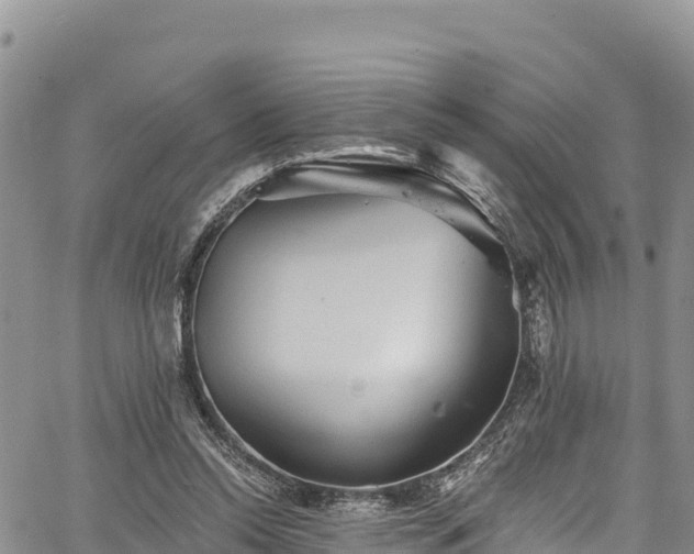 X0000067510350200604101301