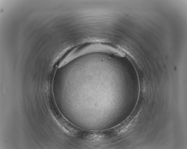 X0000067510352200604101301