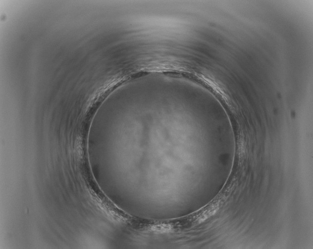 X0000067510353200604101301