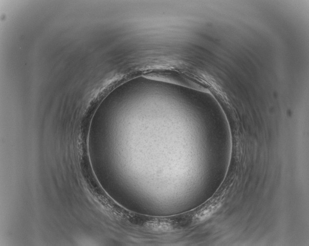 X0000067510354200604101301