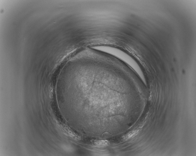 X0000067510355200604101301