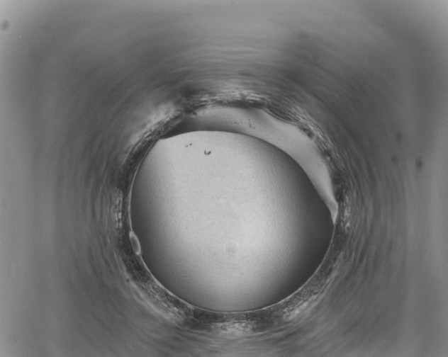 X0000067510356200604101301