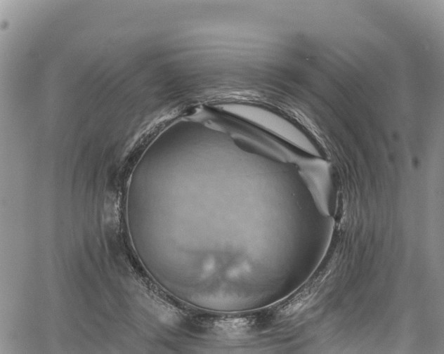 X0000067510357200604101301