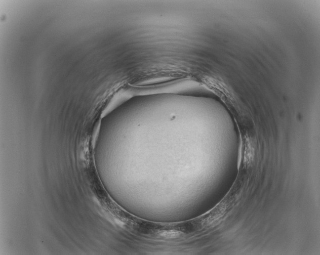 X0000067510360200604101301