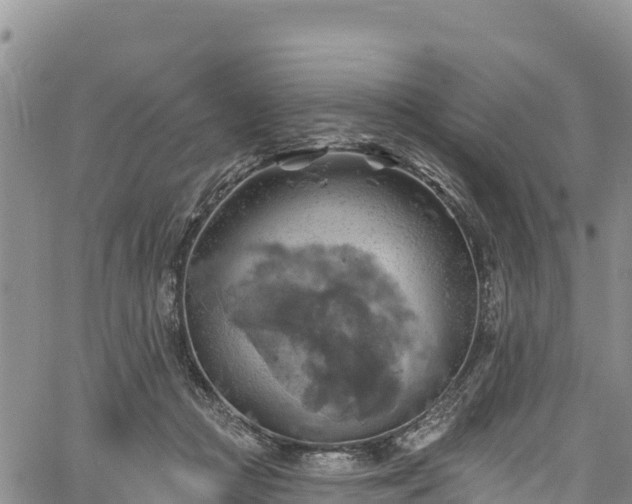 X0000067510361200604101301