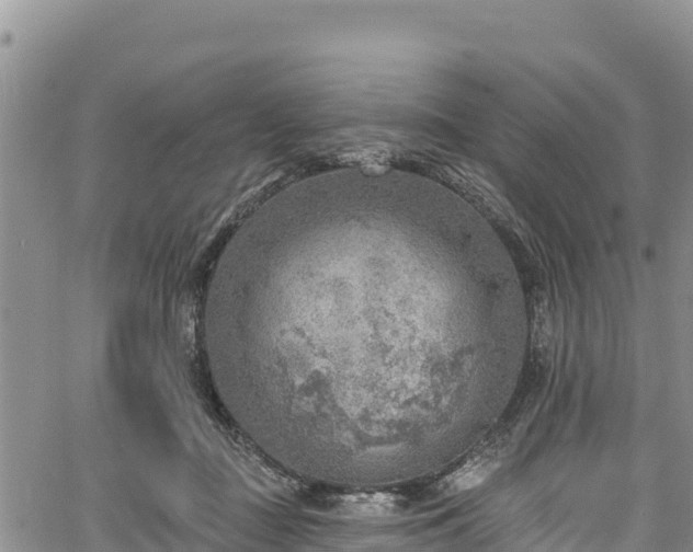 X0000067510363200604101301