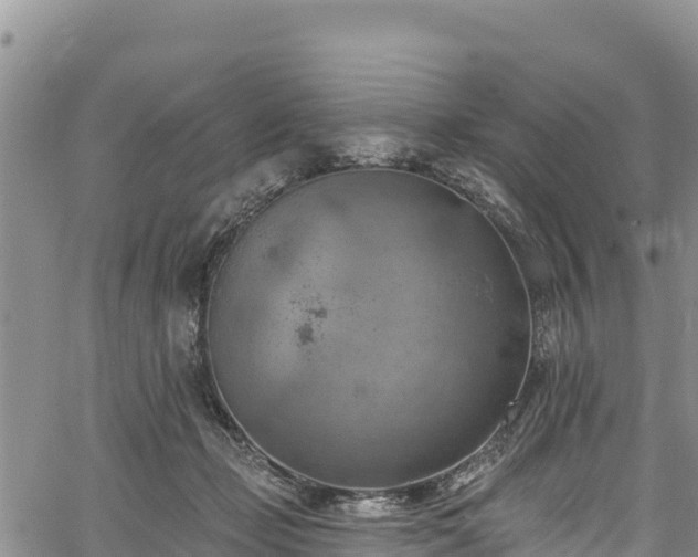 X0000067510365200604101301