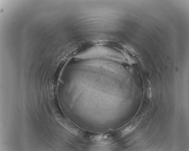 X0000067510366200604101301