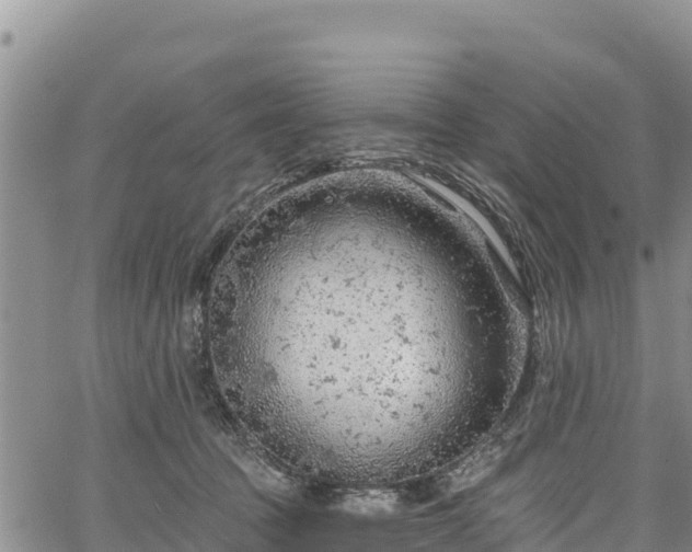 X0000067510369200604101301