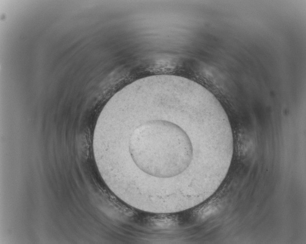 X0000067510370200604101301