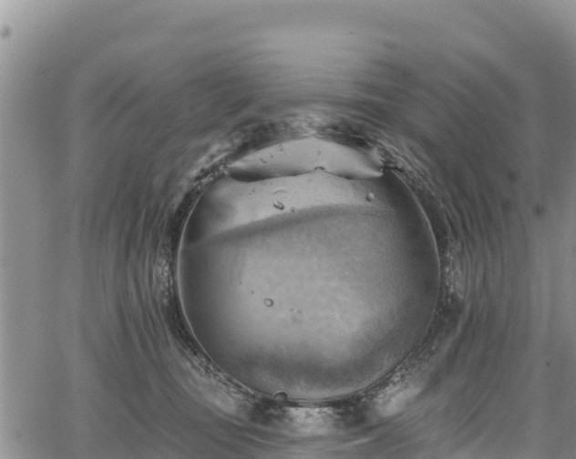 X0000067510371200604101301