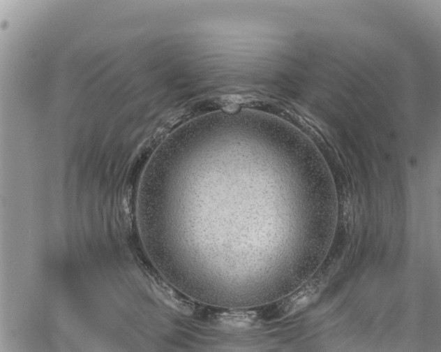 X0000067510373200604101301