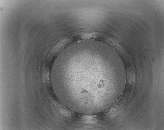 X0000067510375200604101302