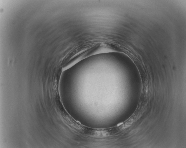 X0000067510376200604101302