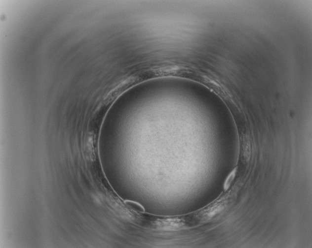 X0000067510378200604101302