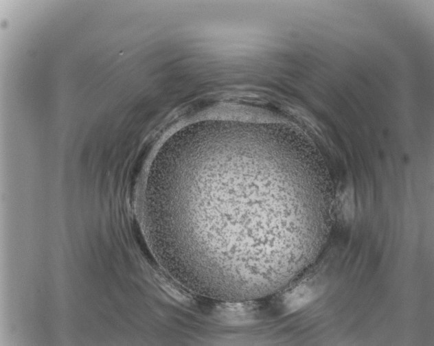 X0000067510381200604101302