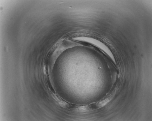 X0000067510382200604101302