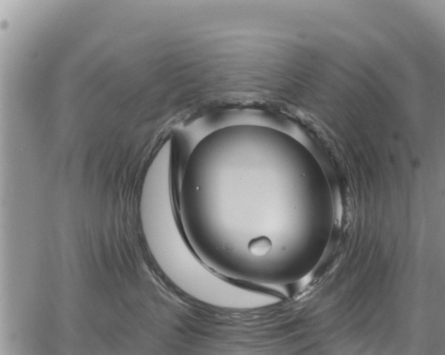 X0000067510383200604101302