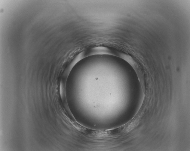 X0000067510384200604101302